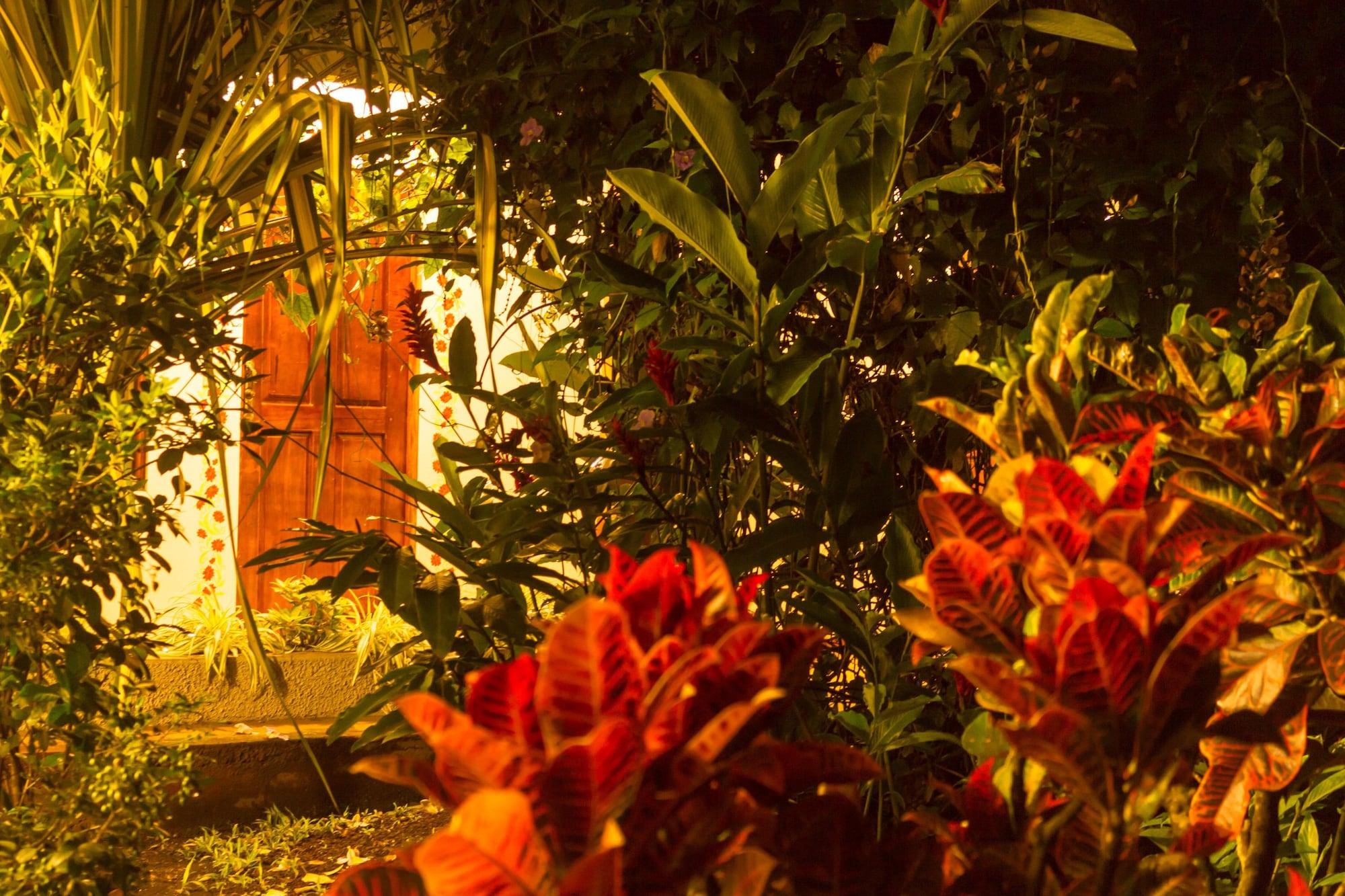 Hotel La Rosa De America Coyol