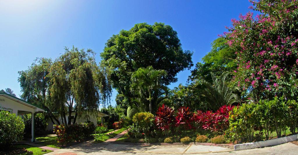 La Rosa De America Hotel Coyol
