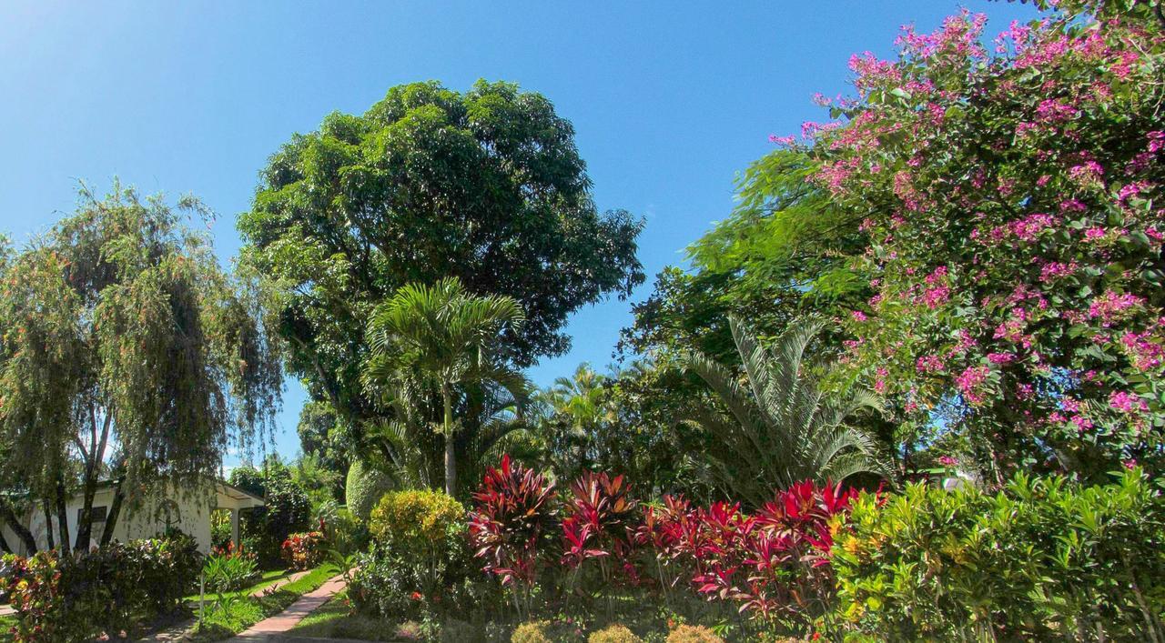 La Rosa De America Hotel Coyol