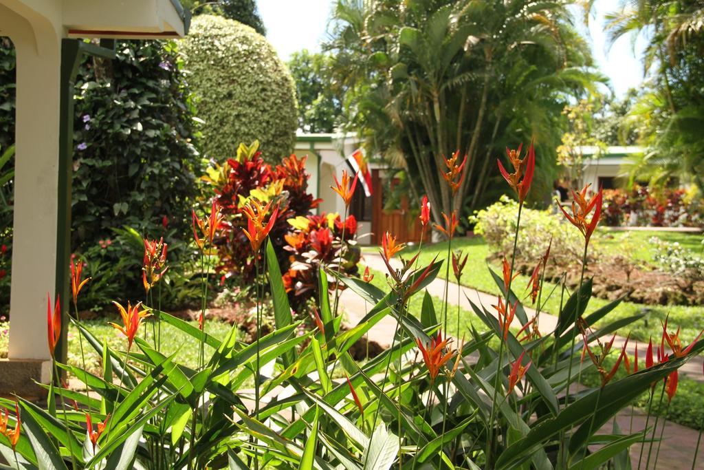 Hotel La Rosa De America 3*