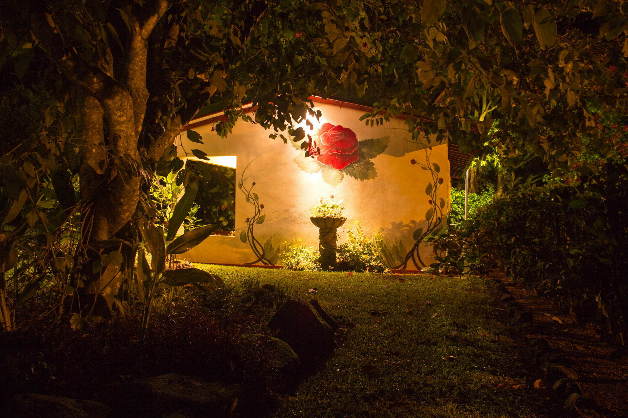 Hotel La Rosa De America 3*