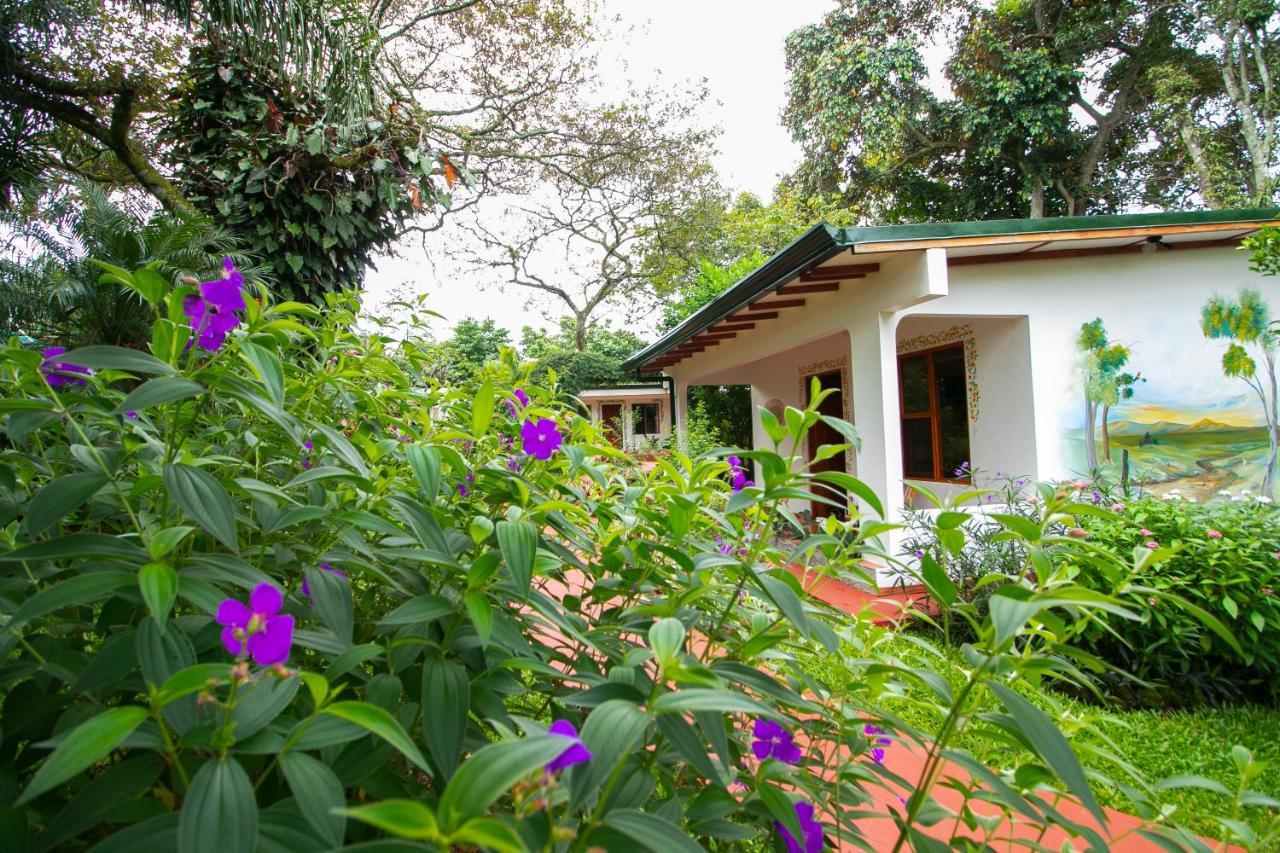 Hotel La Rosa De America