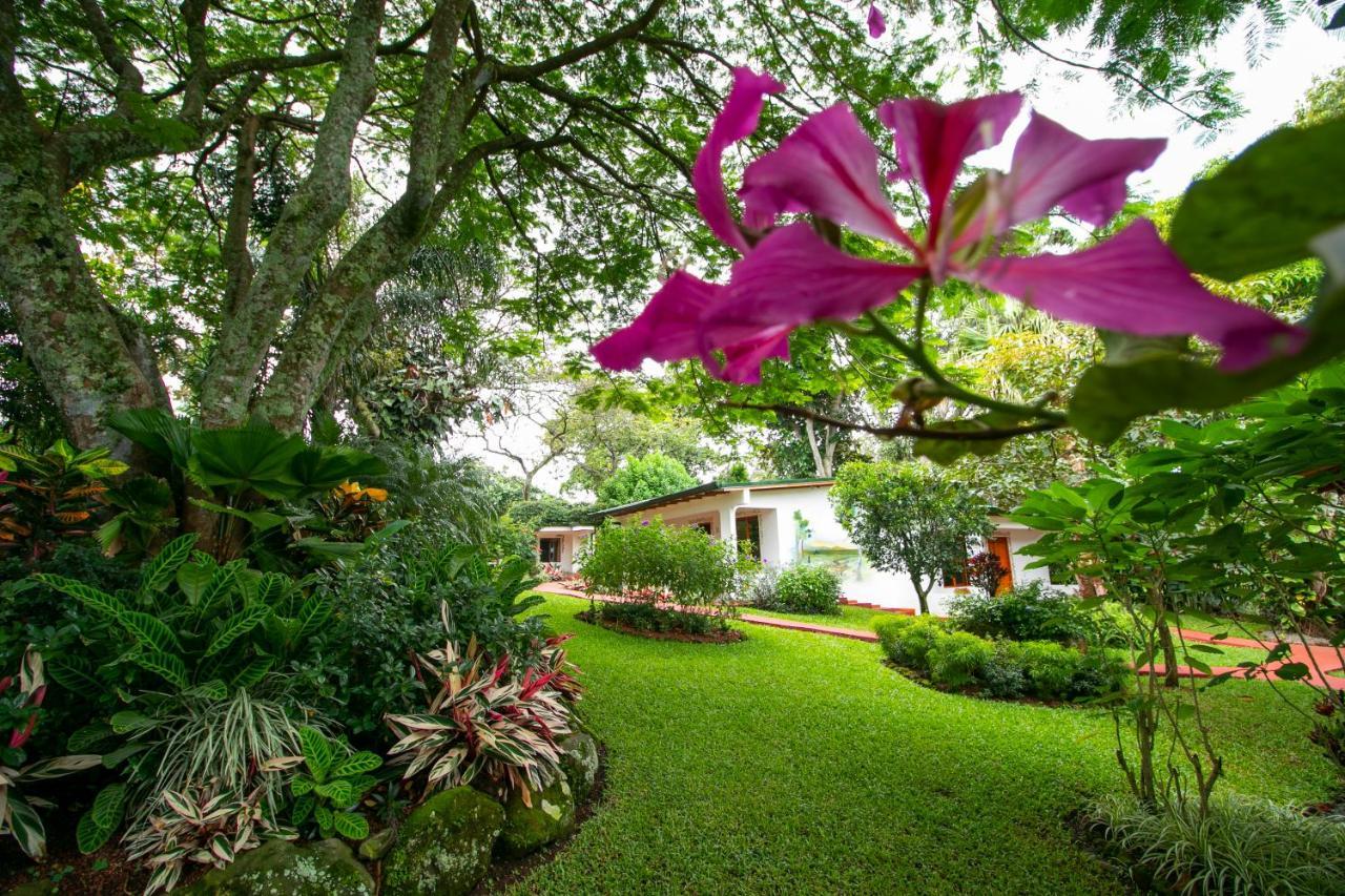 La Rosa De America Alajuela