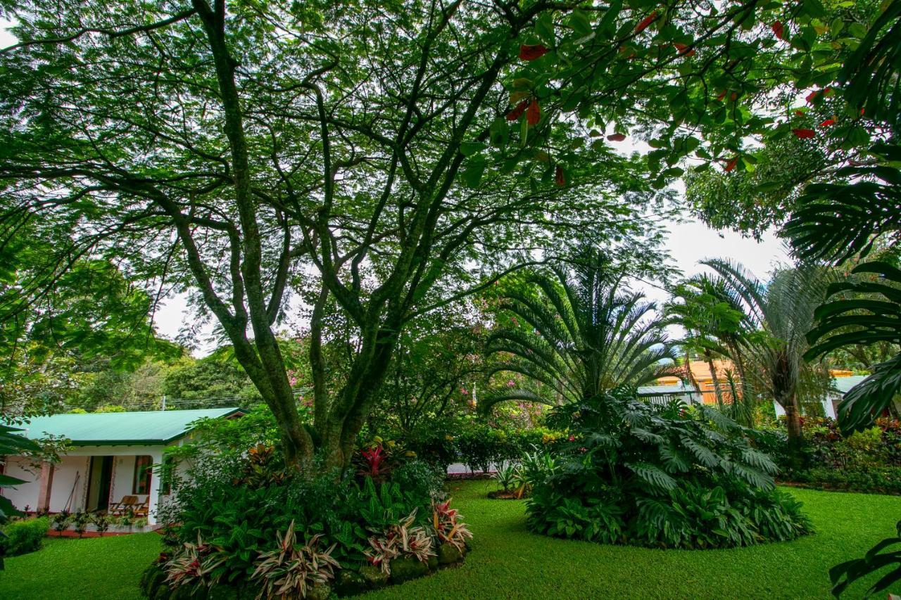 La Rosa De America Alajuela